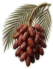 Dates commodity
