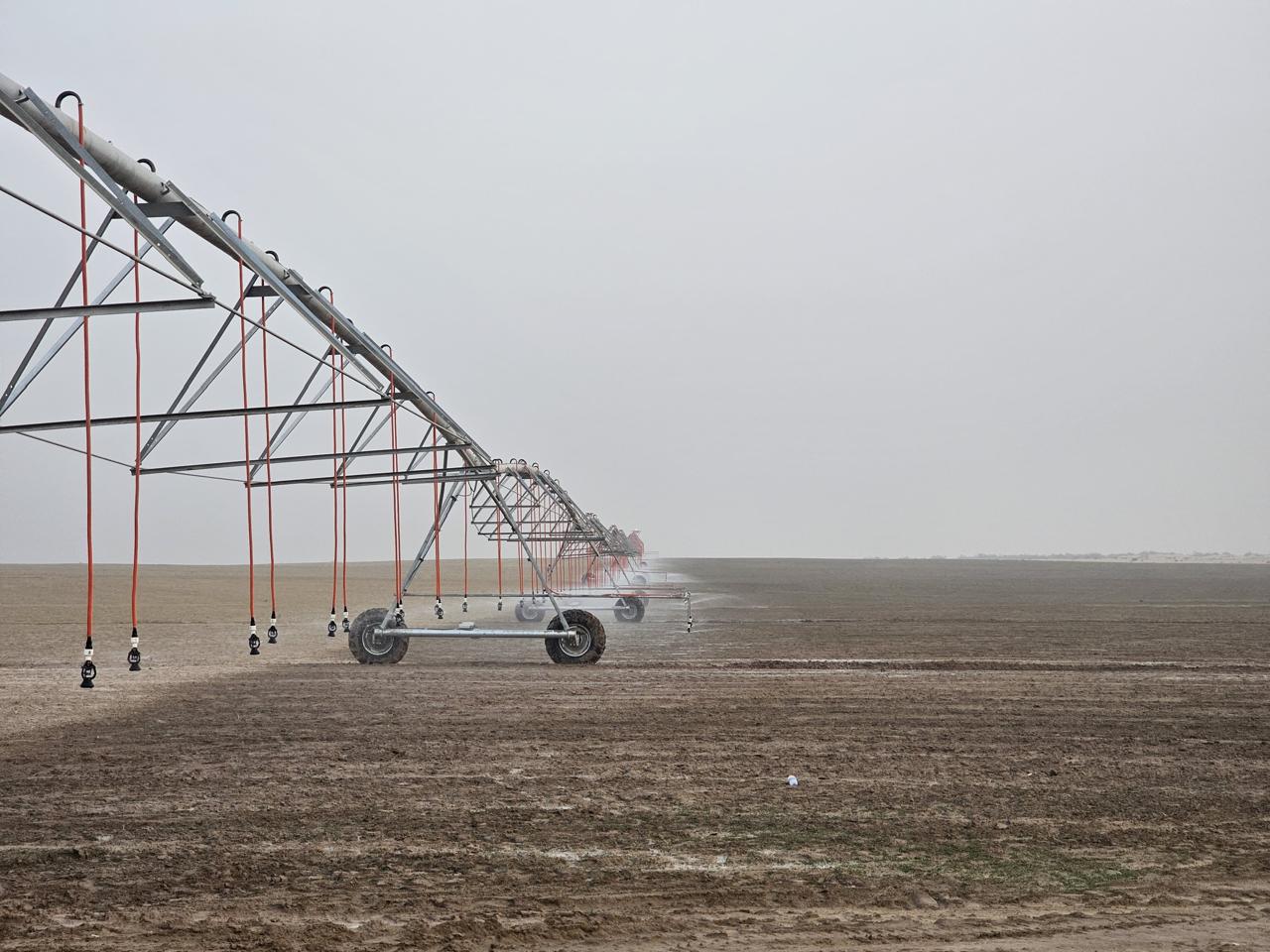 Center-pivot linear irrigation rig operating on commercial farmland at Pantera Farm in South Punjab
