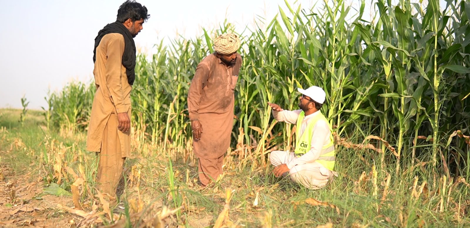Provision of Inputs & Agronomic Advisory