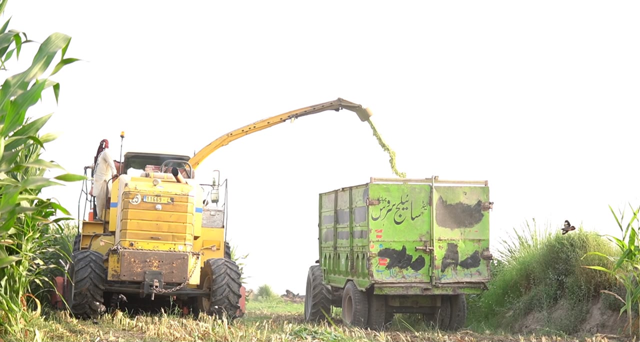 Biochar & Clean Carbon Processing